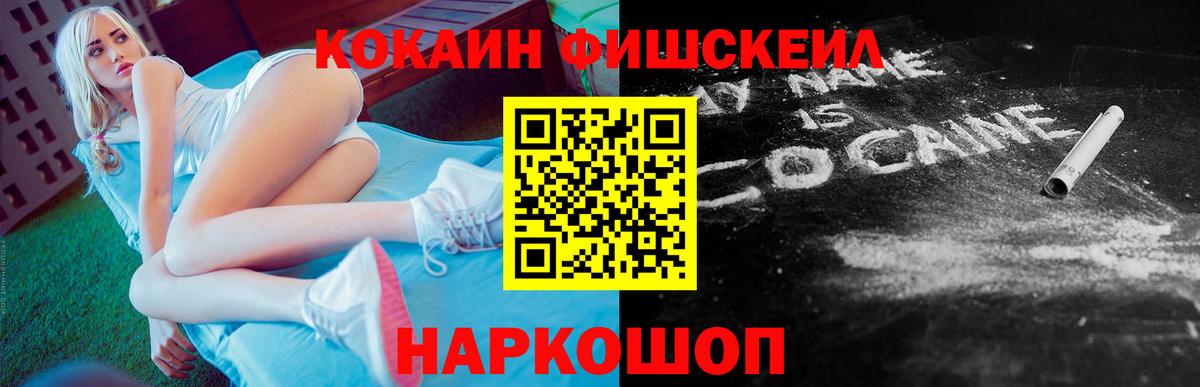 Гатчина  COCAIN Fish Scale  Cocaine  Вход с VPN 