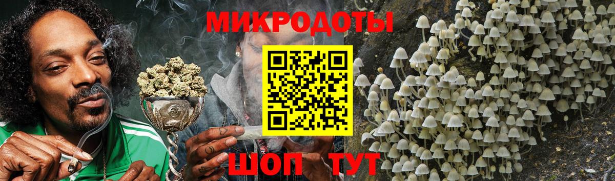 Псилоцибиновые грибы прущие грибы  Псилоцибиновые грибы Magic Shrooms  как найти закладки  Гатчина  Вход с VPN 